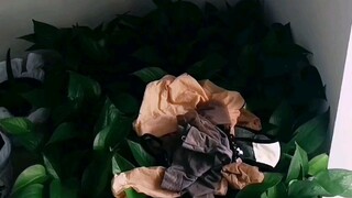لمسة من نبض القلب، نكهة كافية