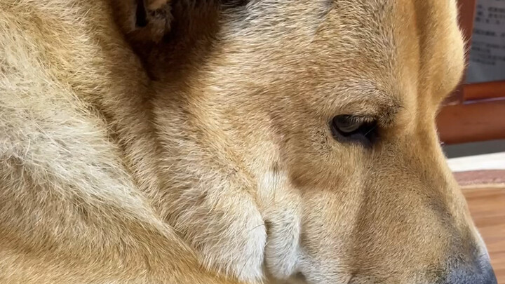 ถอนหายใจทั้งวัน