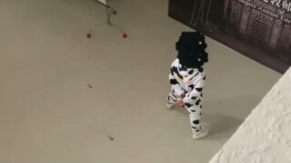 يجب أن يكون هذا هو وجهة نظر تسونايوشي والآخرين حول رامبو.