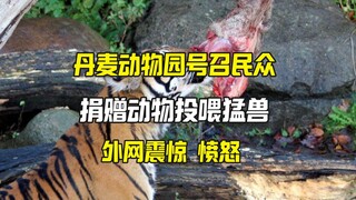 丹麦动物园号召捐献闲置动物安乐死投喂猛兽 引争议