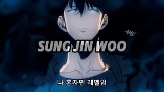 sung jin-woo - 나 혼자만 레벨업 - under the influence