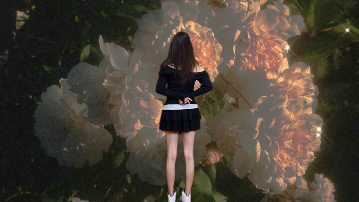 Ngắm nhìn những đoá hoaaaa 😍😍😍😍