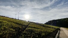 Tết 2025