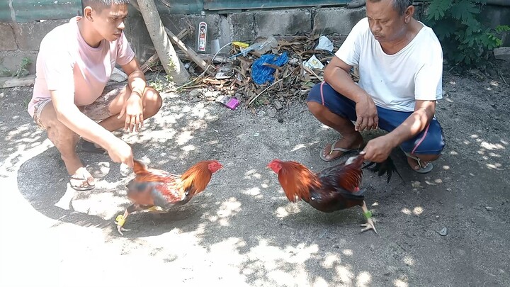 goodluck mga nokis june 3 2/hits