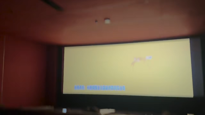 The audience bursts into laughter at the sight of the cow.