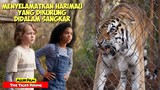 Menyelamatkan Harimau Untuk Kembali Ke Alam Liar | Alur Cerita Film