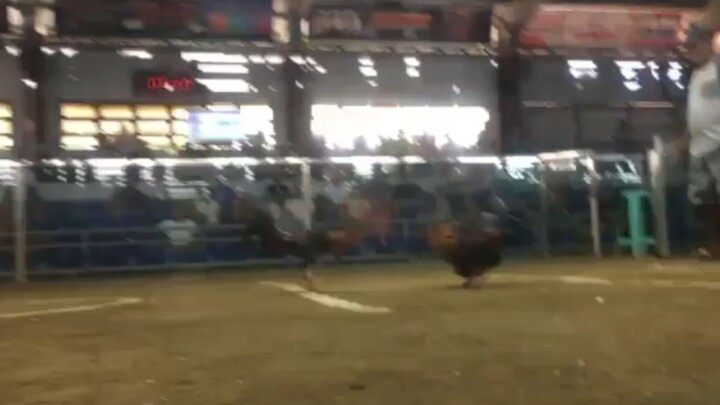 hackfight at sta.maria cockpit arena win owner Richard Santos