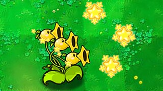 新植物：杨桃三线射手