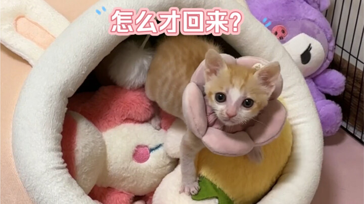 They actually met in secret!