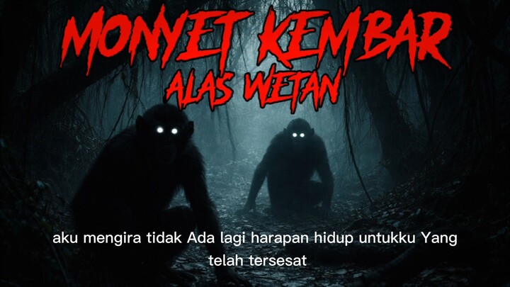 MONYET KEMBAR ALAS WETAN