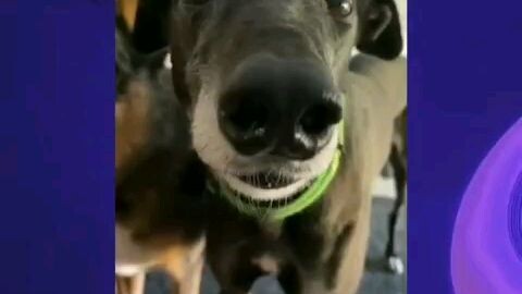 khi tôi nghe tin sắp đi học:)