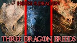 All Three Dragon Breeds In House of the Dragon - Explored In Detail