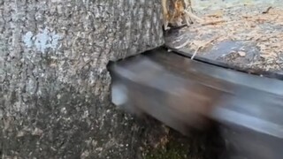 机甲设计灵感＋1