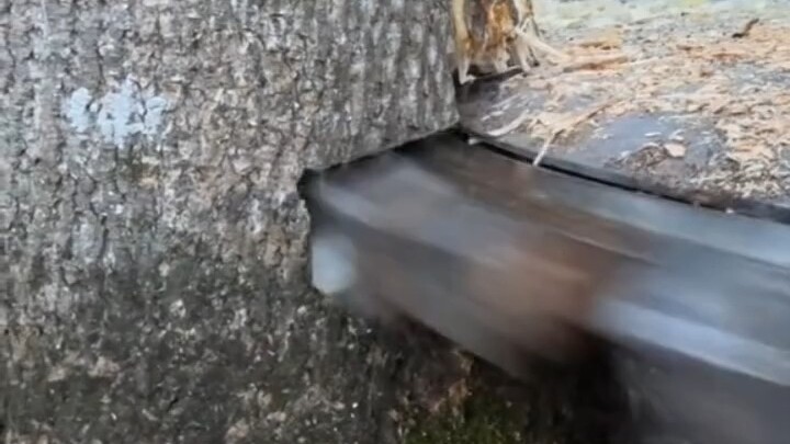 Cảm hứng thiết kế mecha +1