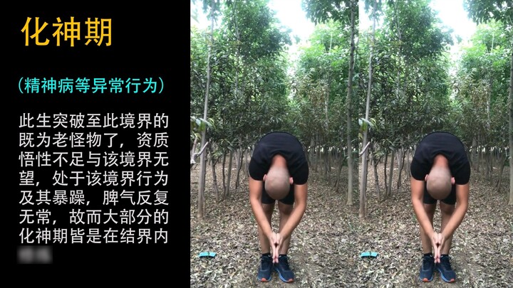 A Mortal's Story of Cultivation into Immortality