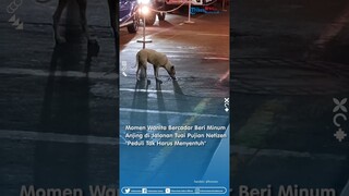 Momen Wanita Bercadar Beri Minum Anjing di Jalanan Tuai Pujian Netizen: "Peduli Tak Harus Menyentuh"