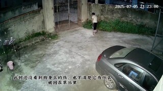 狗狗：轮回这么多次失去这些终于让我找到你了，我就知道我走之后你一个人也能生活的好