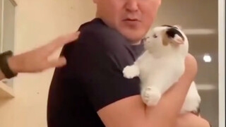Who says cats can’t be tamed?!