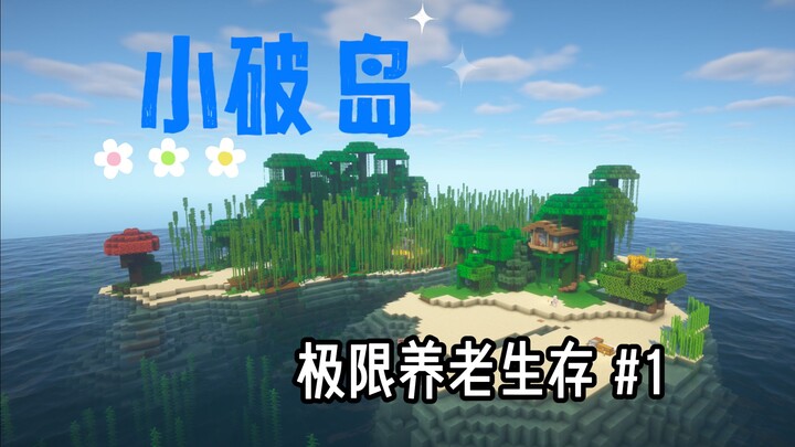 Find a tiny rundown island and start my retirement life #1 [Extreme Retirement Survival]