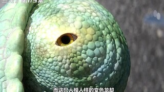 老愣来袭，变色龙学蛤蟆伪装成石头，脸都绿了