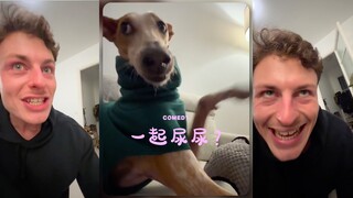 狗狗和主人的精神状态出奇的一致呢‼️