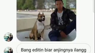 salah anjing