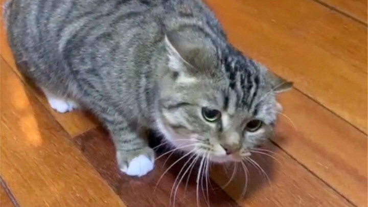 Being shocked by static electricity makes your face smell bad immediately (･᷄ὢ･᷅)