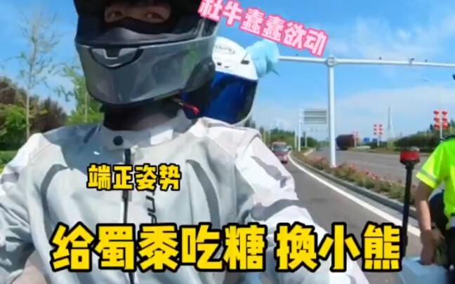 这下全完了！