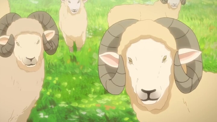 There are sheep that eat people on the green grassland