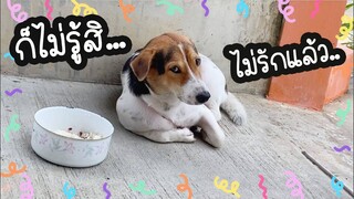 โลกของแสนดี ตอน ไม่รักแม่ด่างแล้ว