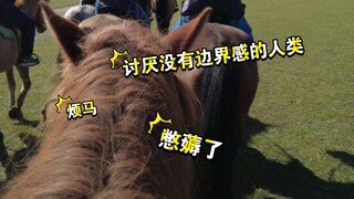第一次骑马的时候，以为马是抬头走路的...