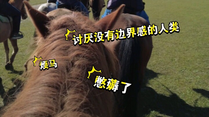 第一次骑马的时候，以为马是抬头走路的...