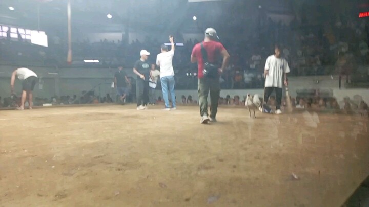 Tagalog line sa vitas walang sugat