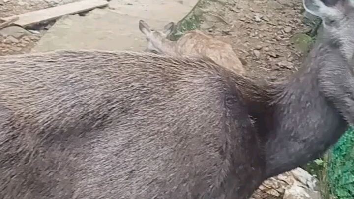 taman wisata Miranti kota baru kalsel