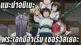 (แนะนำอนิเมะพระเอกมีฮาเร็ม เซอร์วิส18+) Sekirei