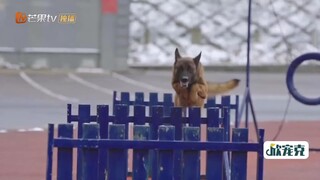Đi Nào, Cún Con! EP 2 [Sub Việt]