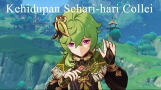 Kehidupan Sehari-hari Collei