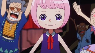 大熊辞去革命军陪伴波尼