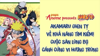 Naruto Tập 148 - Akamaru Ghen Tị Về Khả Năng Tìm Kiếm! Cuộc Săn Lùng Bọ Cánh Cứng Vi Hương Trùng