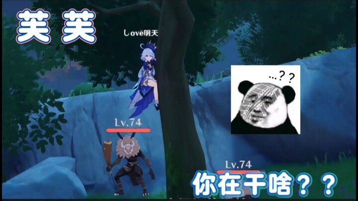 Nghiêm cấm chính chủ Fufu đăng nhập tài khoản!!