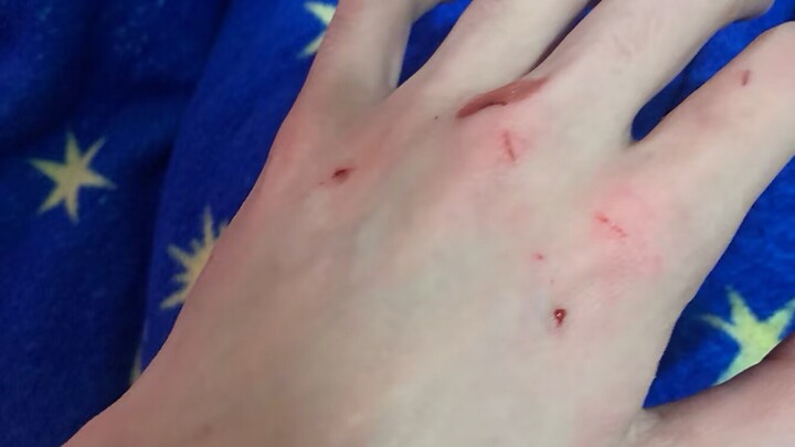 سأتحول من شخص يحب القطط إلى شخص يعشق القطط.