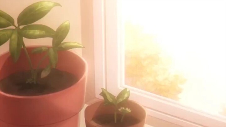 KISS A BABY BOY IT IS SHOCKED