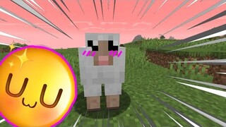 MINECRAFT Khiến MÌNH BỊ GAYYY....!! 💖💖 VIDEO ĐÁNG YÊU NHẤT HÀNH TINH UwU !!