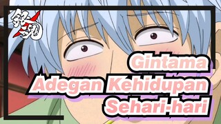 [Gintama/HITMAN REBORN!] Aku Sangat Mencintai Adegan Kehidupan Sehari-hari