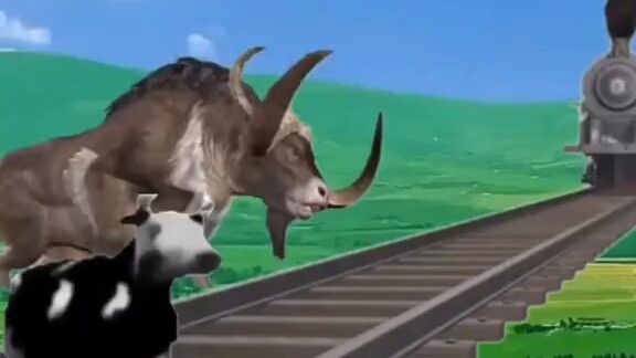 Watch cheesy videos, ________.