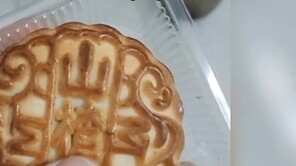 Why does this mooncake have an accent?