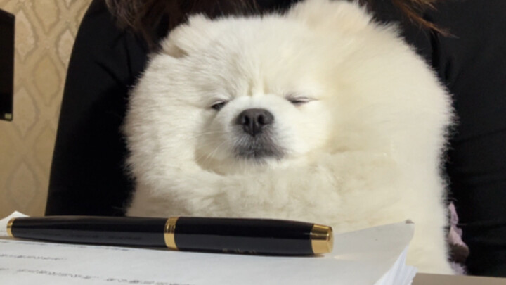 Saat pelajaran masih ingat untuk mengaktifkan mode getar…