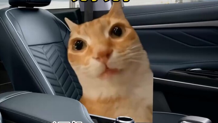 เมื่อคนขับรถที่สิ้นหวังได้พบกับนักศึกษามหาวิทยาลัยสุดหล่อ