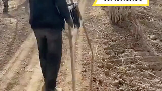 الأداة موثوقة، لكن العقل غير موثوق