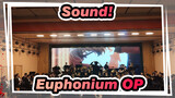 [Sound! Euphonium] OP Dream Solister Symphony Cover